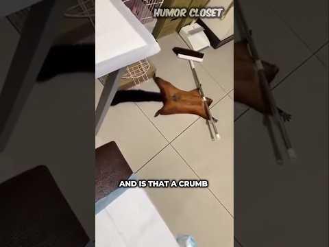 OMG! This Squirrel is a Drama Queen