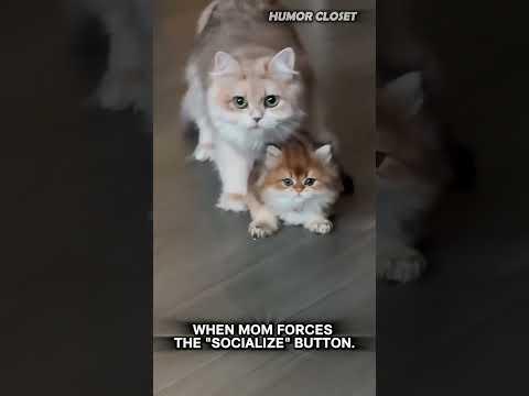 Mom Doesn't Care