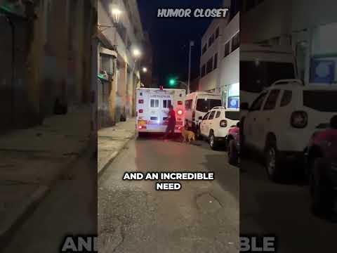 Loyal Dog 🐕 Chases Ambulance 🚑