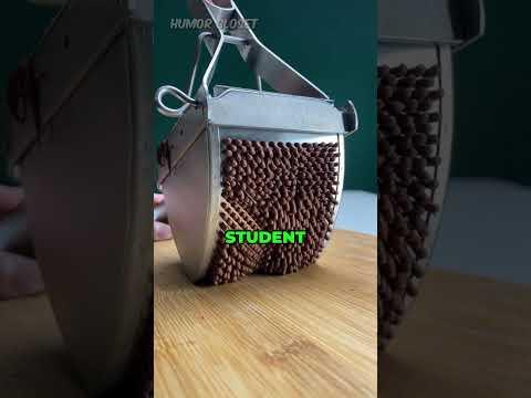 Student Needs Help With A Question
