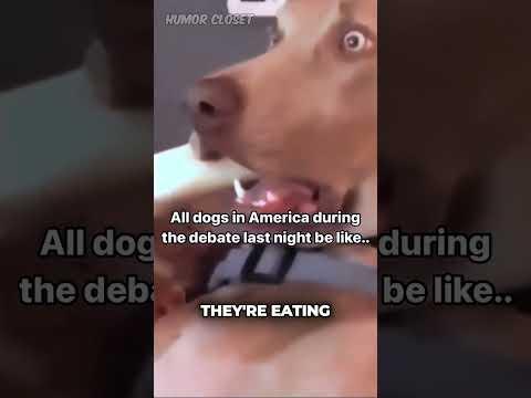 Eating Cats😿 & Dogs 🐶