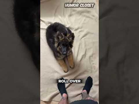 Instant Training Result