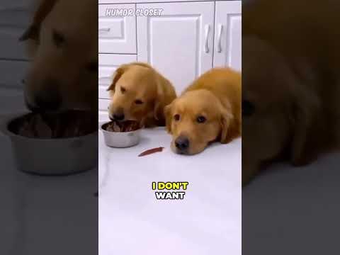 The Adorable Love