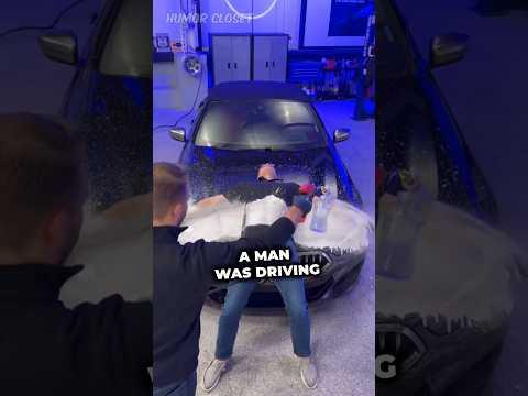🚔🐧 A man stopped with penguins in his truck!