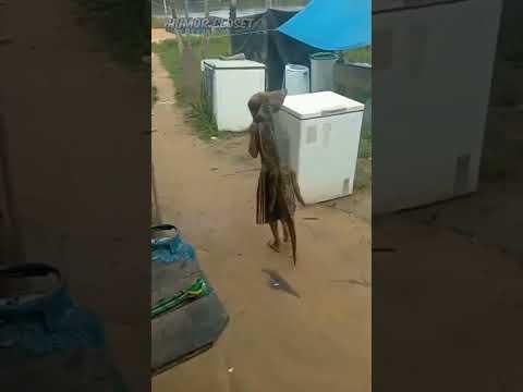 A Friend in Need is a Friend Indeed