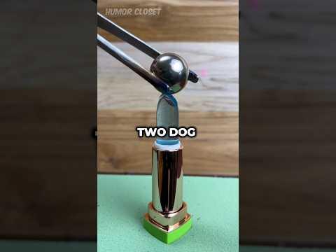 Who Has The Smartest Dog ?🐕🐕🐕 🤔 🤔😋…